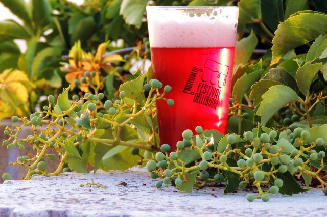 XIII Festival Birre Castellalto 2018